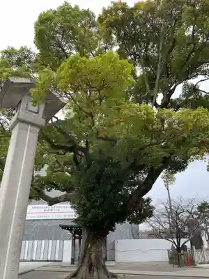 成田山大阪別院　明王院の自然