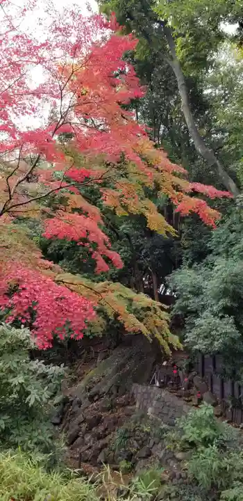 増上寺塔頭 三縁山 宝珠院の周辺