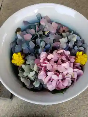 白金氷川神社(東京都)