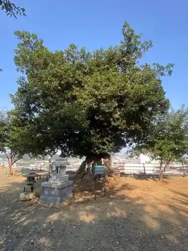 植田八幡神社(福島県)
