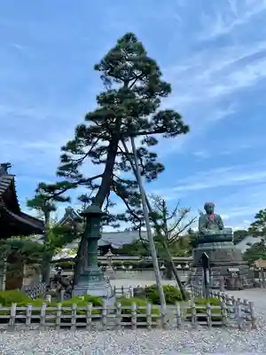 善光寺(長野県)
