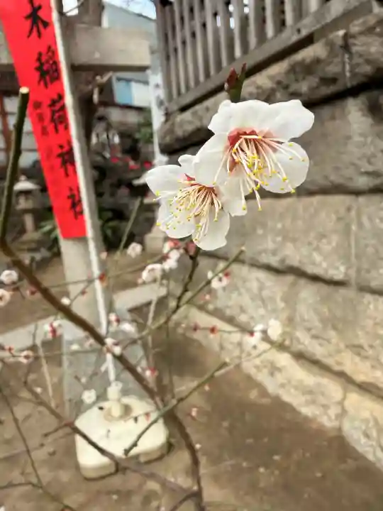 飛木稲荷神社の{uncategorized: "未分類", other: "その他", undefined: "問題あり", building: "その他建物", grave: "お墓", sacred_gate: "鳥居", guardian: "狛犬", statue: "像", buddha: "仏像", history: "歴史", nature: "自然", garden: "庭園", animal: "動物", pagoda: "塔", temizu: "手水舎", mountain_gate: "山門・神門", sanctuary: "本殿・本堂", subordinate: "末社・摂社", art: "芸術", scenery: "景色", jizo: "地蔵", ema: "絵馬", goshuin: "御朱印", omikuji: "おみくじ", items: "授与品その他", amulet: "お守り", goshuincho: "御朱印帳", eats: "食事", festival: "お祭り", votive_dance: "神楽", shichigosan: "七五三参", wedding: "結婚式", experience: "体験その他", initially: "初詣", around: "周辺", anti_infection: "感染症対策"}