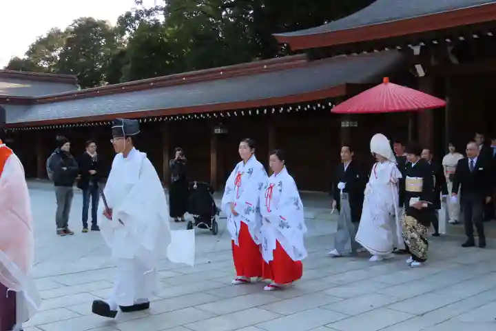 明治神宮(東京都)