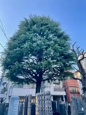 金蔵寺の{uncategorized: "未分類", other: "その他", undefined: "問題あり", building: "その他建物", grave: "お墓", sacred_gate: "鳥居", guardian: "狛犬", statue: "像", buddha: "仏像", history: "歴史", nature: "自然", garden: "庭園", animal: "動物", pagoda: "塔", temizu: "手水舎", mountain_gate: "山門・神門", sanctuary: "本殿・本堂", subordinate: "末社・摂社", art: "芸術", scenery: "景色", jizo: "地蔵", ema: "絵馬", goshuin: "御朱印", omikuji: "おみくじ", items: "授与品その他", amulet: "お守り", goshuincho: "御朱印帳", eats: "食事", festival: "お祭り", votive_dance: "神楽", shichigosan: "七五三参", wedding: "結婚式", experience: "体験その他", initially: "初詣", around: "周辺", anti_infection: "感染症対策"}