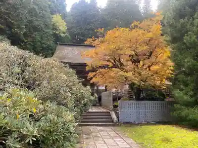 金剛三昧院(和歌山県)