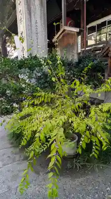 行願寺（革堂）(京都府)