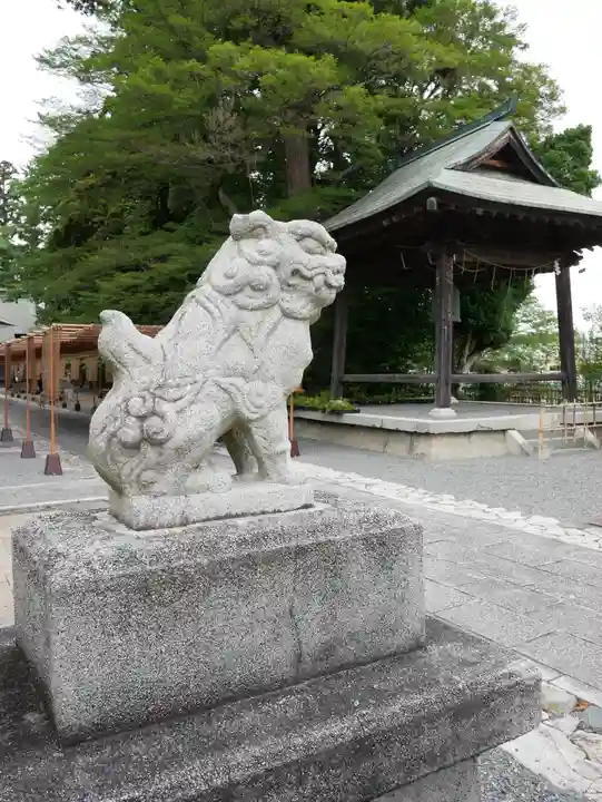 國魂神社の狛犬