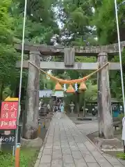 白川吉見神社(熊本県)