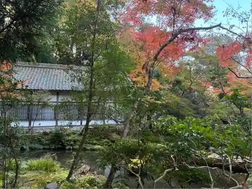 法然院(京都府)