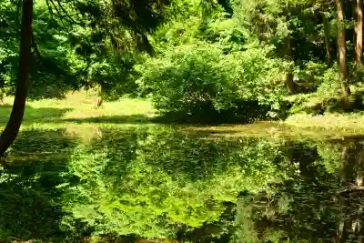 郡殿の池弁財天社(新潟県)