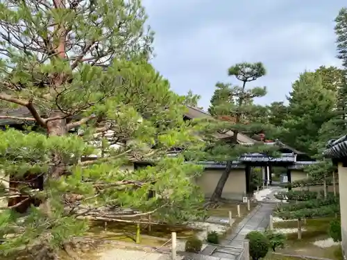 真珠庵(真珠菴)の庭園