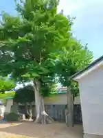 杵築神社(奈良県)