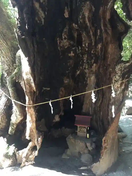 來宮神社のその他建物