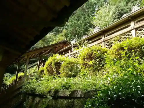 穴師坐兵主神社(奈良県)