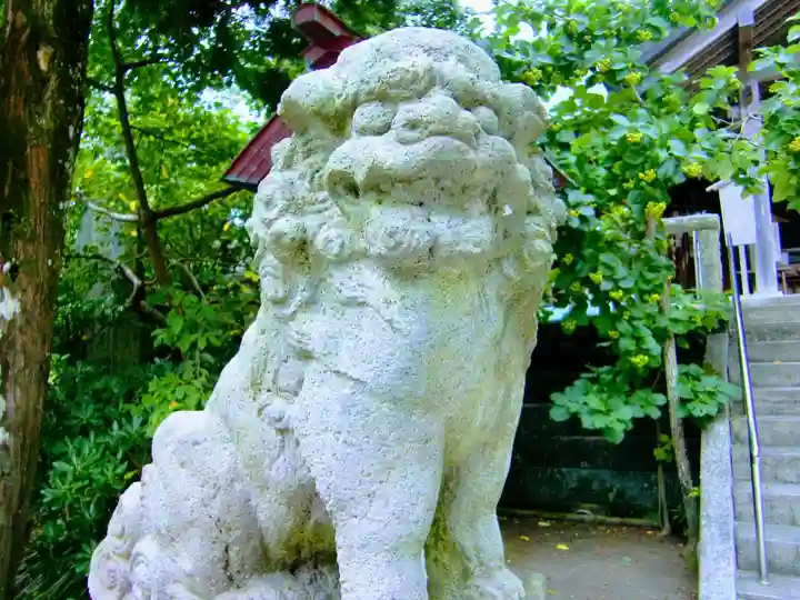 天津神明宮の狛犬