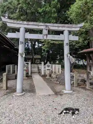 八幡社(柏井町)の鳥居