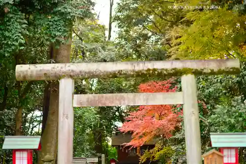 鷲宮神社(埼玉県)