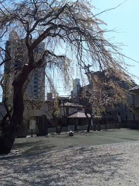 榴岡天満宮の自然