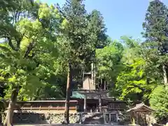 丹生川上神社（下社）(奈良県)