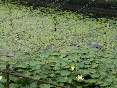 新大佛寺(三重県)
