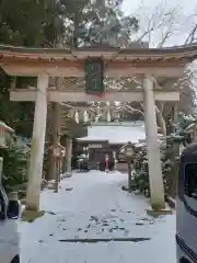 橿原神社の鳥居