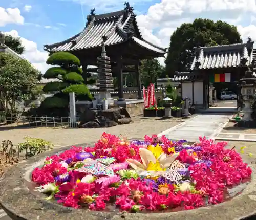 真言宗　善通寺派　薬王寺の手水