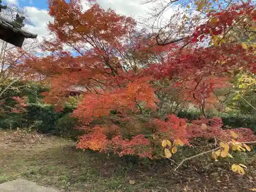 鷲峰寺(香川県)