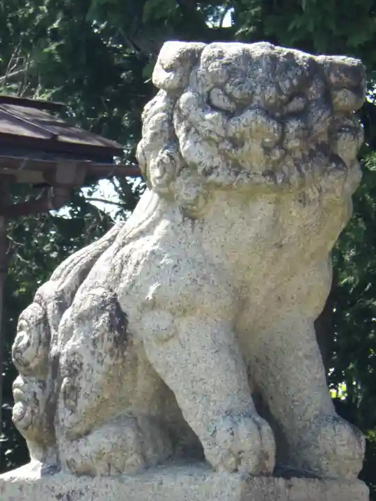 越中護国八幡宮の狛犬