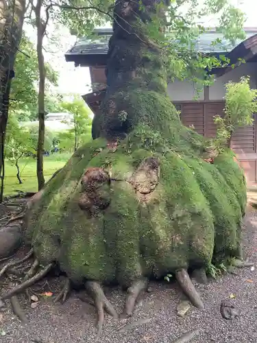 伊雜宮（皇大神宮別宮）の建物その他