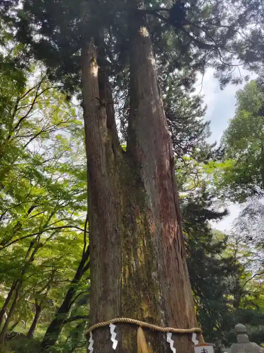 談山神社(奈良県)
