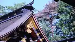 大崎八幡宮の建物その他