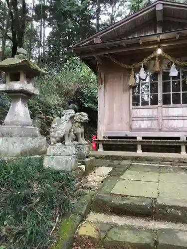 住吉神社の狛犬