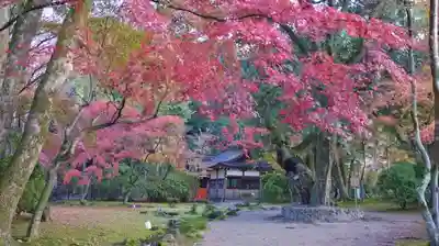 賀茂別雷神社（上賀茂神社）のその他建物