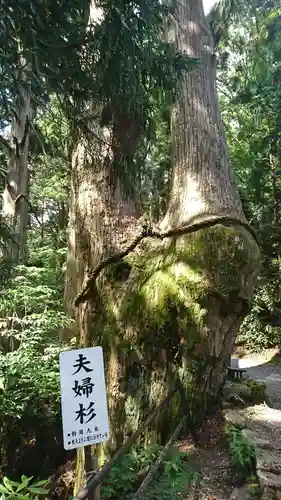 玉置神社の自然