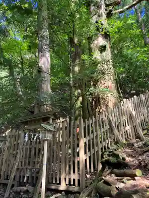 玉置神社の自然