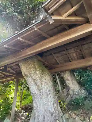 大甕神社(茨城県)