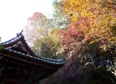 高尾山薬王院(東京都)