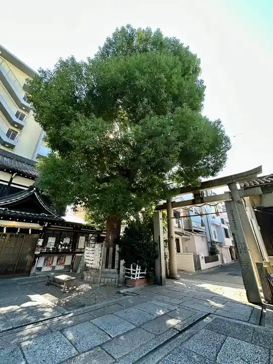 比賣許曾神社の鳥居