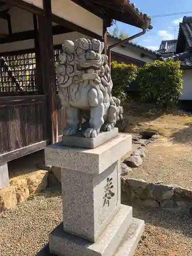 白山比咩神社の狛犬