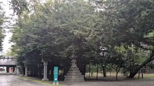 帯廣神社の自然