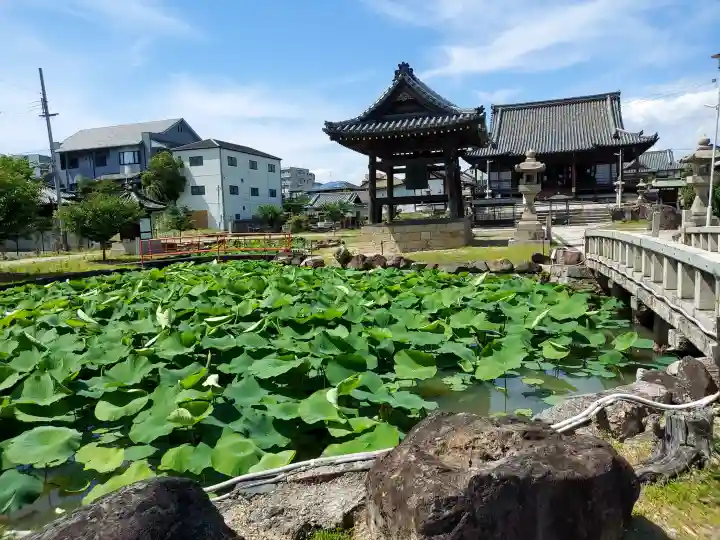 家原寺(大阪府)