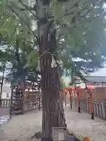 草加神社(埼玉県)