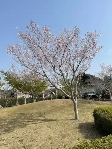 桜ヶ池池宮神社(静岡県)