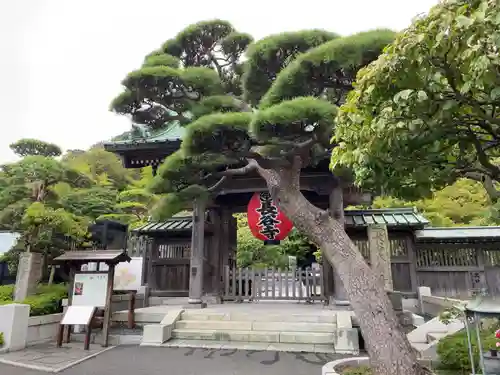 長谷寺の山門・神門