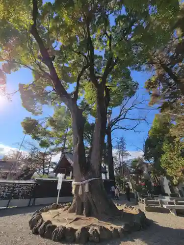 玉村八幡宮の庭園