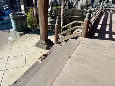 浄土真宗本願寺派　明光山　最徳寺(東京都)