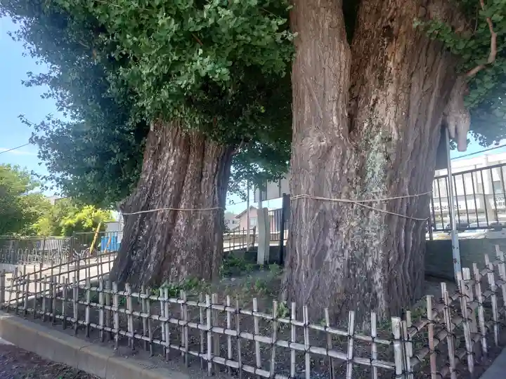 依知神社(神奈川県)