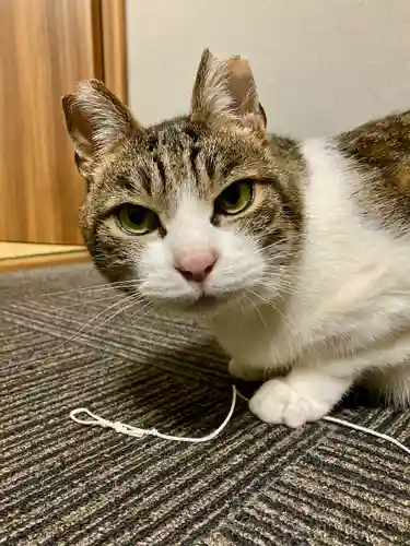 高平山遍照寺(静岡県)