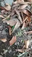 酒門神社の動物