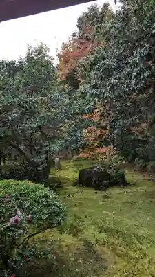地蔵院(京都府)